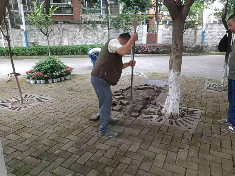 老小區(qū)地磚修補